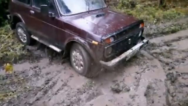 Нива в стоке смотреть онлайн