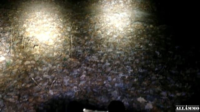 Cравнение фонарей Olight M22, M21, M20X | Магазин ALLAMMO.RU смотреть онлайн