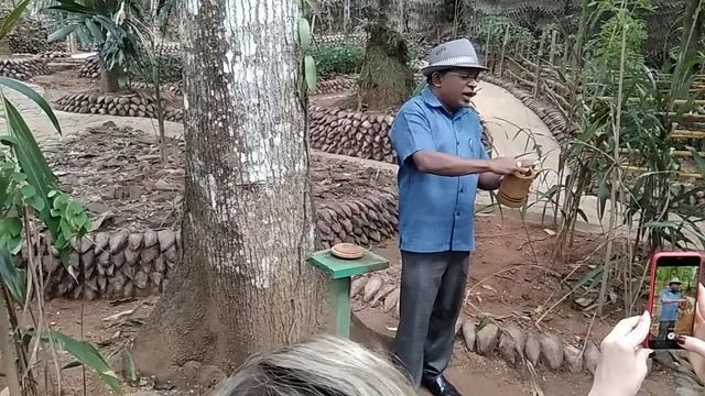 Плантация специй. смотреть онлайн