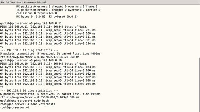 OpenNebula Frontend Step 16 Checking for the prescense of Node 11 and adding DNS entry in hosts смотреть онлайн
