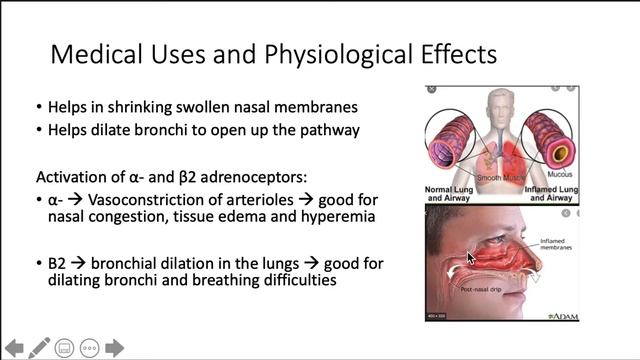 Comprehensive Overview of Pseudoephedrine смотреть онлайн