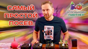 Самый простой посев.  Мои томаты выскочили на третий день! #огород #семена #рассада