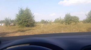 Огромный водоем.Текино.Сампурский район.