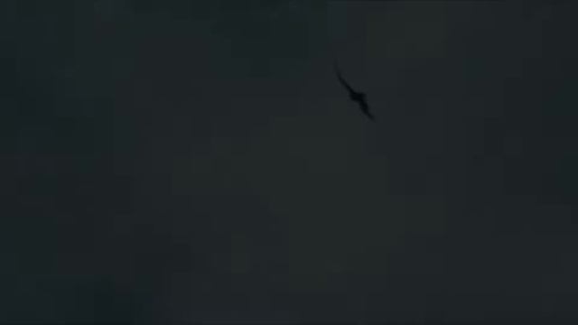 Maleficent - Stolen Wings (Disney) смотреть онлайн