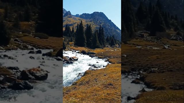 Молочно-белый ручей в райской долине на Тянь-Шане (Кыргызстан) смотреть онлайн