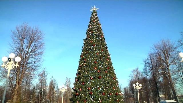 В Твери начали устанавливать новогодние ели смотреть онлайн