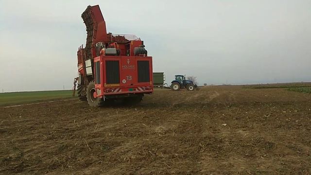 Repná kampaň 2018 / Holmer Terra Dos T3 / New Holland T8040, T6070, Zetor 12 011/ SPD Veselé смотреть онлайн