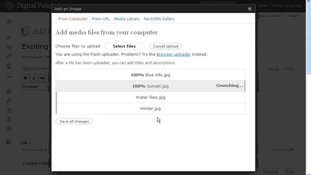 Adding galleries to a page using the built in WordPress tools смотреть онлайн