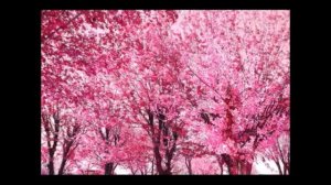 Вивальди. Весна, 1 часть.