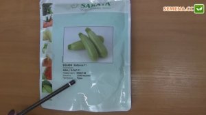 Арал F1 кабачок (Sakata) Антифейк