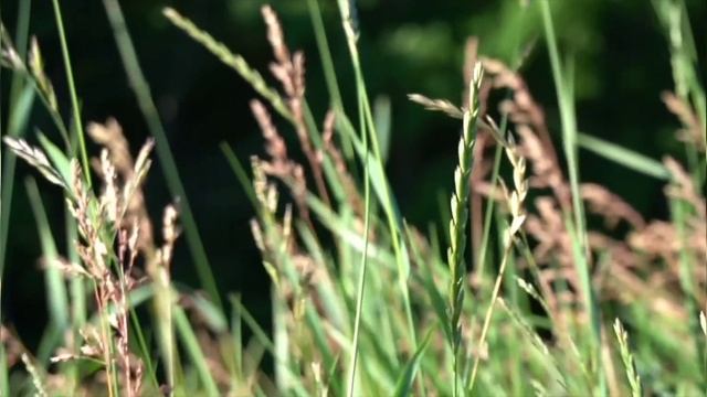 Сильная исцеляющая медитация для души и тела Перезагрузка смотреть онлайн