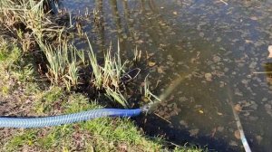 Очистка водоёма от ила.