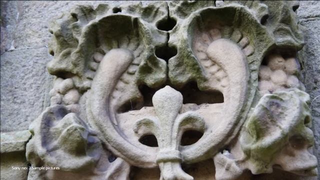 Sony nex 3. Sample pictures смотреть онлайн