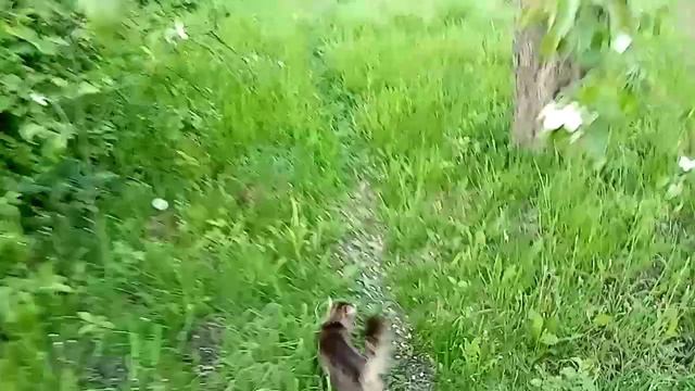 В саду. смотреть онлайн