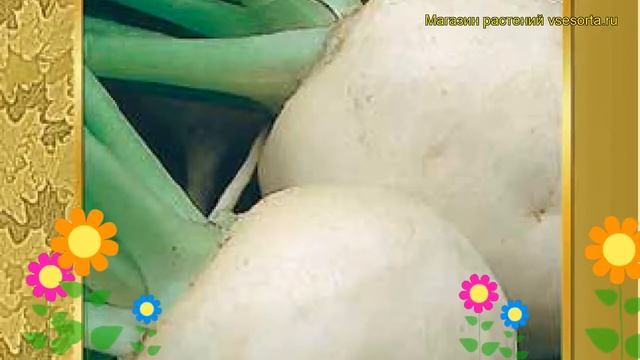 Строительный Анализ