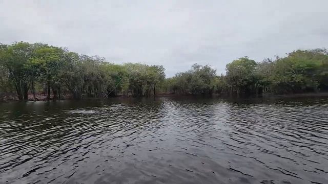 Бразилия! 1200 окуней за поездку! смотреть онлайн