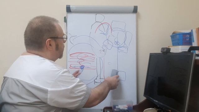 Халюс Вальгус (Hallux Valgus). Настоящая причина данной проблемы.