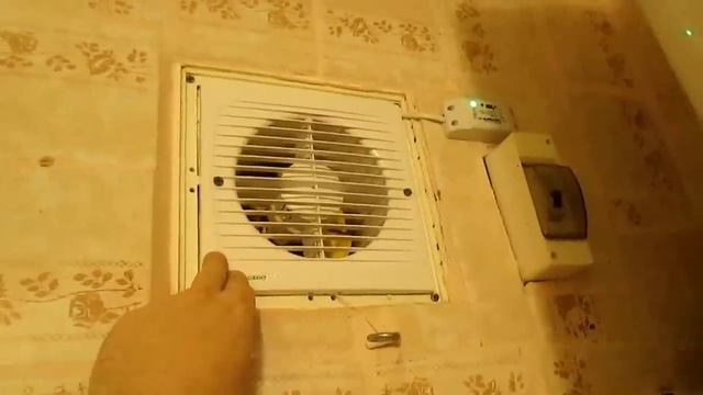 Стройка в Фокусе