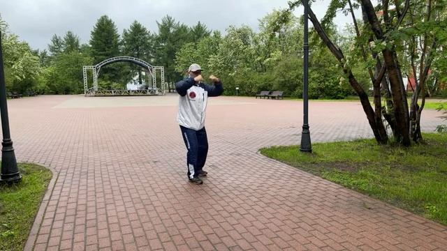 Ицюань / Yiquan (194 день). Ченбао и Хуньюань Чжуан / Цзоубу Цюань Фа / Чжи / Хэн / Цзуань / Цзай смотреть онлайн