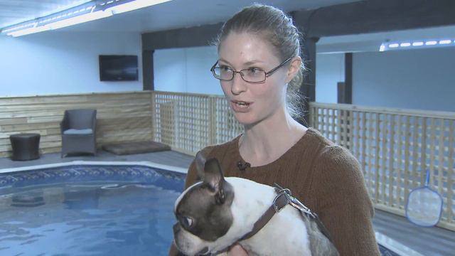 CTV News at 6pm February 7 смотреть онлайн