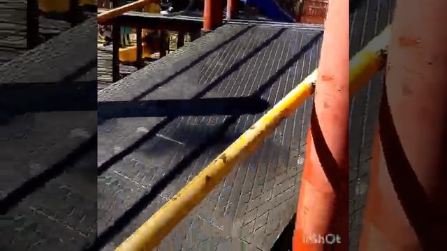 Парк развлечений/ЗООПАРК/ЖИВЫЕ СТАТУИ***Часть 1 смотреть онлайн