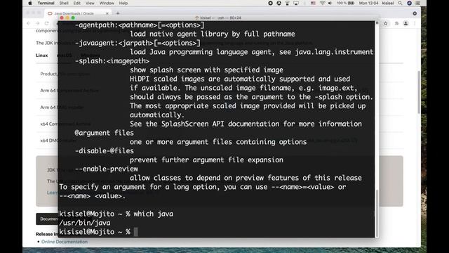 How to Install Java on MacOS смотреть онлайн