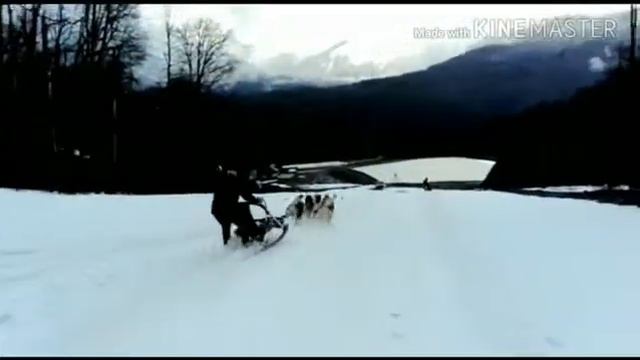 Хаски Хутор на Роза Хутор смотреть онлайн