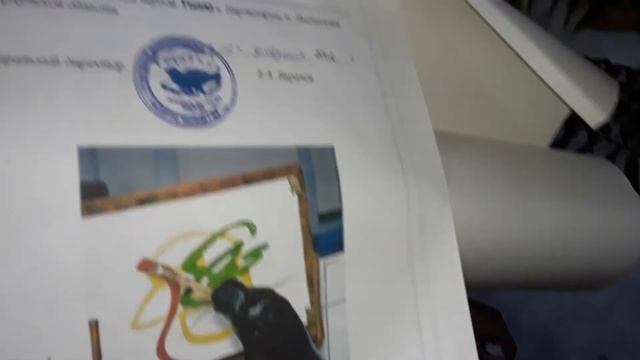 Супер закуска из свежей рыбы. Рыба омуль из Байкала. Как приготовить. Загудай. Встреча в Аэропорту смотреть онлайн