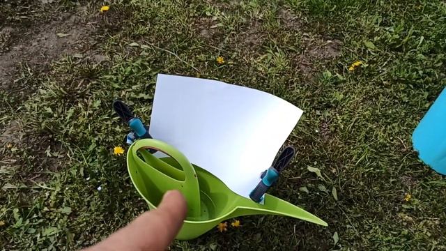 ловушка для цветоеда оленка мохнатая (Tropinota hirta) смотреть онлайн