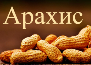 Польза и вред арахиса!