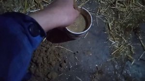 Отек вымени у коровы после отела,как лечить? Народное средство.