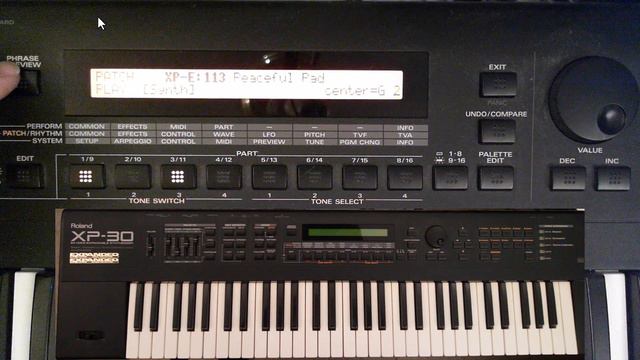 Roland SR-JV80-04 Sound Expansion Card - Vintage Synths - Demo