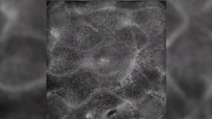 Визуализация звуков на пластине Хладни.(Расслабляющий ролик)