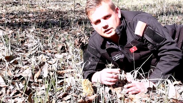 Zobacz gdzie rosną takie Grzyby!! SMARDZE, SMARDZÓWKI (MORCHELLA, VERPA) смотреть онлайн