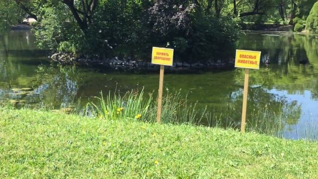 Главный Ботанический Сад имени Н. В. Цицина. Экскурсия. Москва. 16.06.2021г. смотреть онлайн