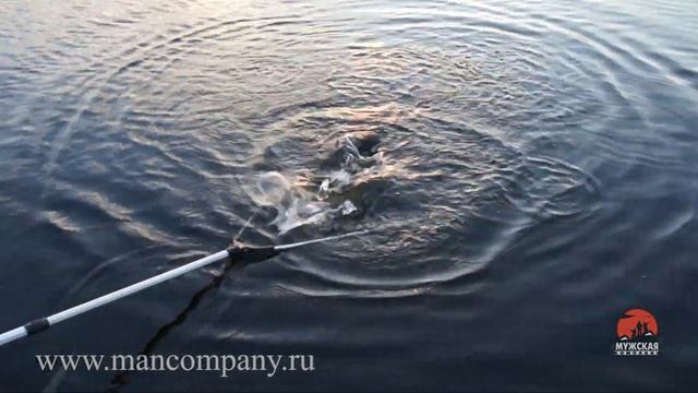 Спиннинг Salmo