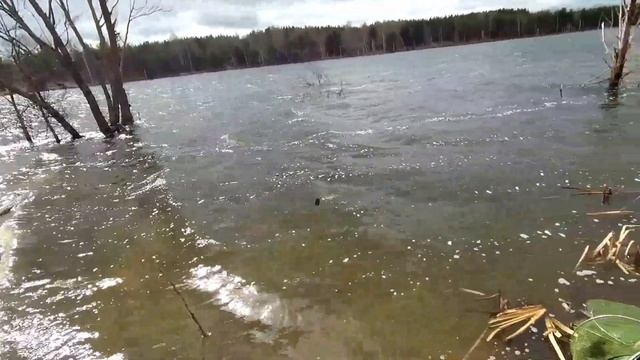 КАРАСЬ ПРОСНУЛСЯ!!! 25 апреля. Весенний карась! Карась в Подмосковье.