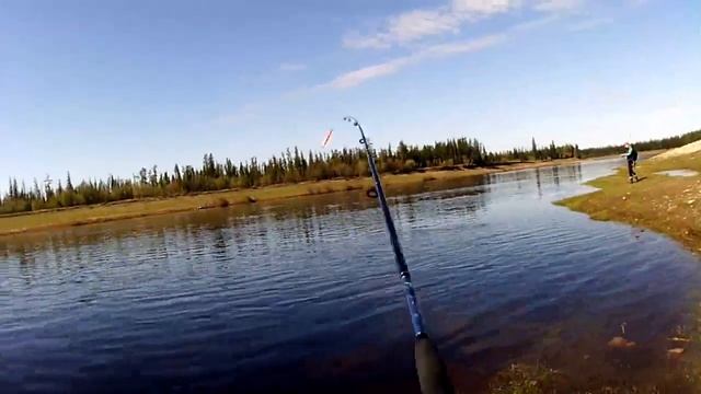Рыбалка в Чамче Ленского района РС (Я) смотреть онлайн