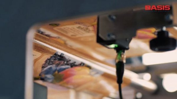 Frozen food packaging line with VFFS machine Basis