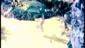 Песня «Что такое Новый год»