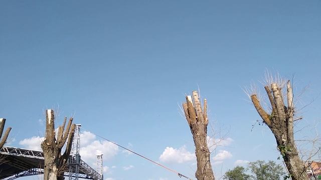 написал заявление в мегафон с просьбой установить новую базовую станцию в городе Цивильск. смотреть онлайн