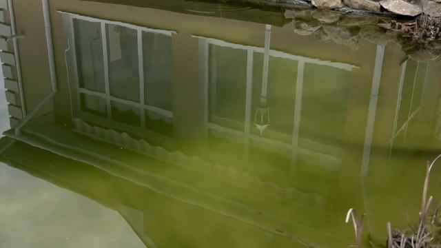 Рыбалка в собственном пруду у дома. смотреть онлайн