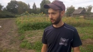 Выгодно ли выращивать картошку на огороде дома и на даче, итоги нашего урожая картошки.