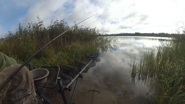 Ловля плотвы на фидер осенью, или рыбалка в середине сентября на стоячем водоеме, Калужская область смотреть онлайн