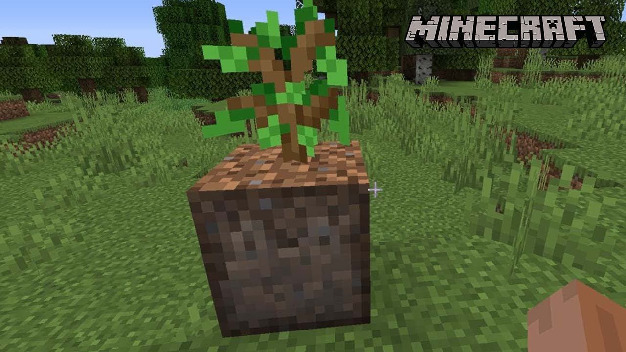 Автоматическая посадка растений в Майнкрафт | Обзор мода Planting Dirt for Saplings смотреть онлайн