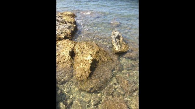 Giuseppe Sammartini Sonata X Op. 2 per Flauto e b.c. (organo) смотреть онлайн