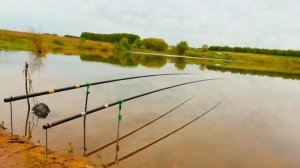 ЛОВЛЯ КАРАСЯ НА ОЗЕРЕ🎣