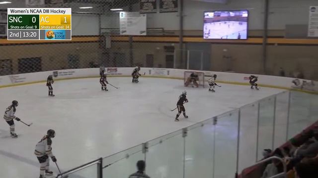 Women's NCAA Hockey Hosts St. Norbert College (2/2/24) смотреть онлайн