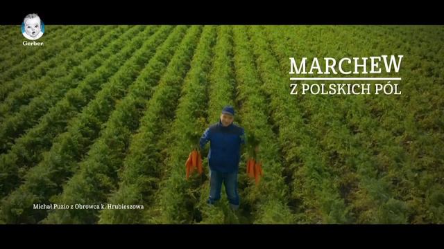 GERBER Reklama Polska 06-2022 смотреть онлайн