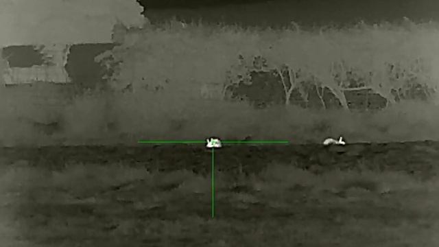 Rabbiting with the Rico RL42 смотреть онлайн